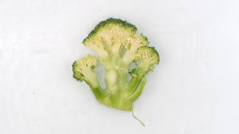 In-slow-motion-water-splashes-pour-water-onto-one-broccoli-on-a-white-background.-Vegetarian-and-Fructorians.